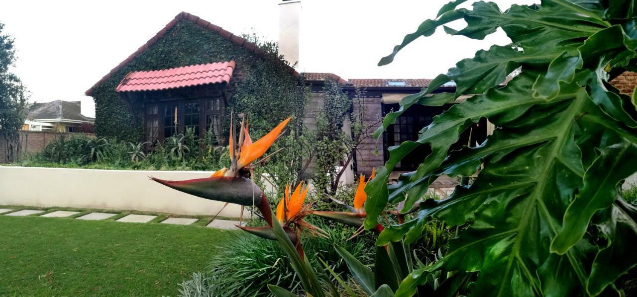 Gardenview Guest House 伊丽莎白港 外观 照片